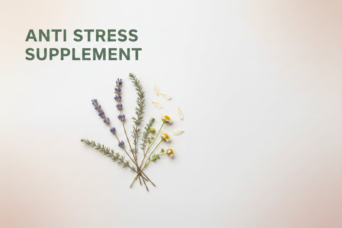Best Anti Stress Supplement in Pakistan – Natural Stress Relief with Maxor Love Chocolate
