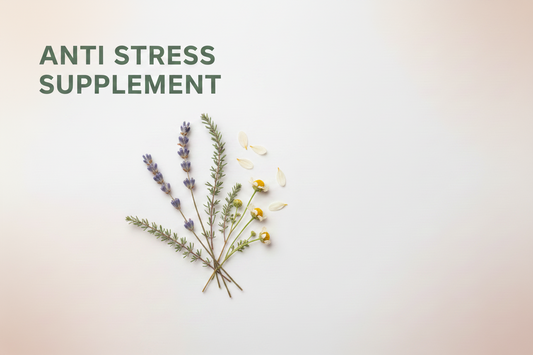 Best Anti Stress Supplement in Pakistan – Natural Stress Relief with Maxor Love Chocolate