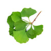 Ginkobiloba