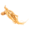 Maca Root