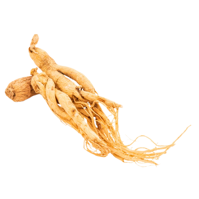 Ginseng
