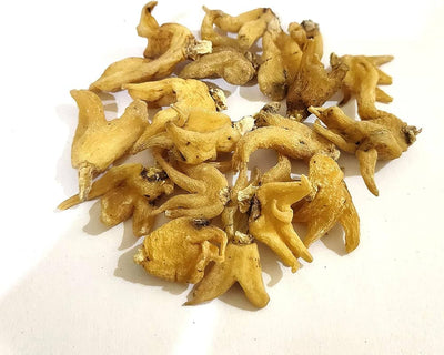 Salab Panja