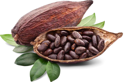Cocoa 70%